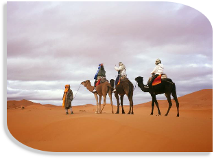 Morocco private tours from Marrakech,desert Morocco travel