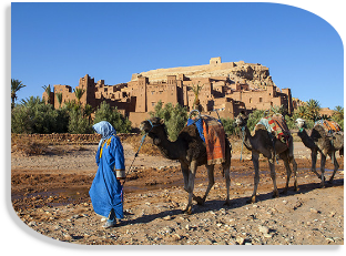 private 10 day Sahara Tour from Tangier,Morocco tours from Tangier 10,11,12 days trip