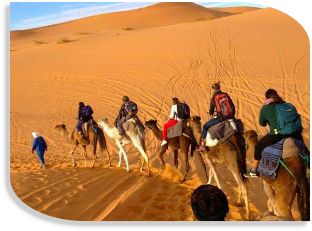 Morocco private tours from Marrakech,desert Morocco travel