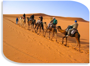 Morocco private tours from Marrakech,desert Morocco travel