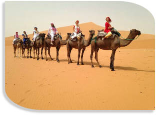 Morocco private tours from Marrakech,desert Morocco travel